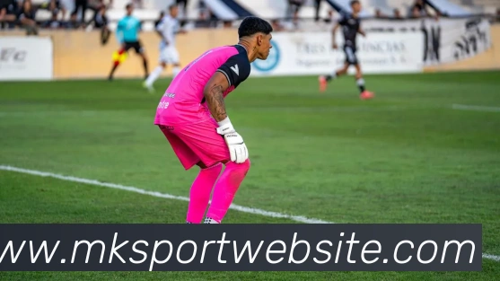 MK体育平台生态图