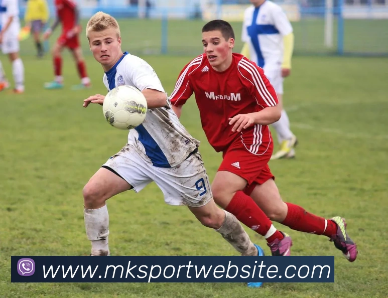 MK体育APP 封面图